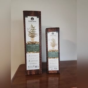 Everlands Tiffany Mini Tree Potted